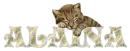 Alaina - Glitter Diamond Cutie Sleeping Cat