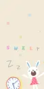 SWEET ZZZ