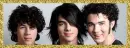 Jonas Brothers (glitter boarder)