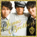 Jonas Brothers (glitter boarder)