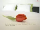 love wallpaper