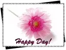 happy day!