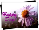 happy day!