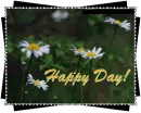 happy day!