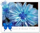 have a good time!
