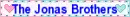 Blinkie- The Jonas Brothers