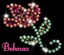 behnaz flower