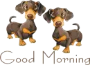 good morning