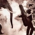 bryan adams