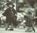 Romance