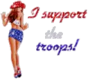 I support the troops