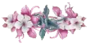 liliac