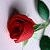 lovely