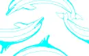 Dolphin Wall 2