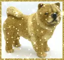 Chow Dog (with glitter boarder & sparkles)