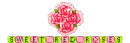 sweet red roses