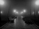 Street of dark