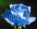 Mrs.Mcguire