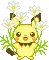pichu with white flowers