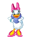 Daisy