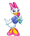 Daisy