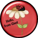 Hello From Gied