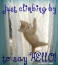 climbing by to say hello