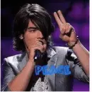Jonas Brothers peace & love