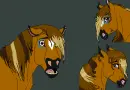 Nicole the pony