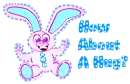 bunny hug