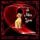 I Miss You