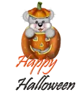 happy halloween bear