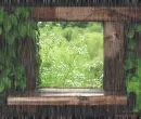 Rain by the window