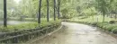 Rain in the Park