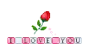 i love you