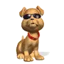 Cool Dog (animated)