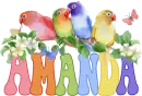 COLORFUL BIRDS, AMANDA