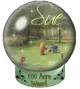 Classic Pooh in 100 Acre Wood Snowglobe (animated)- Sue