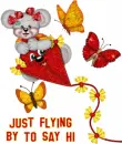 Flying By