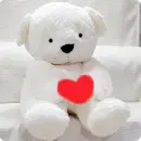 Cute White bear