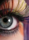 Eye
