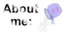 About me