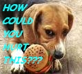 How Could You..