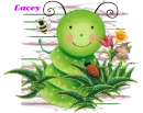 LACEY--CUTE BUG