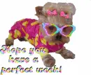 Dog - Perfect Week
