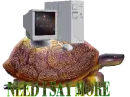 slow computer smaller
