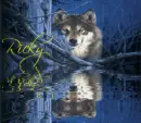 Wolf in the woods- Ricky