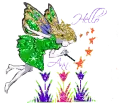 ann fairy hello