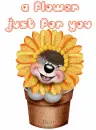 A Flower Just For You