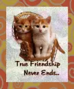 True Friendship